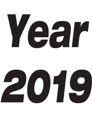 Year 2019 (11)