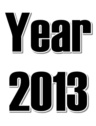 Year 2013 (5)