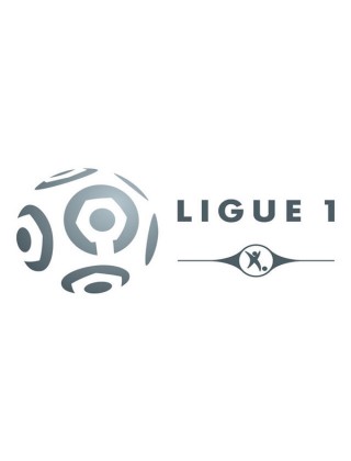 French Ligue 1 (24)
